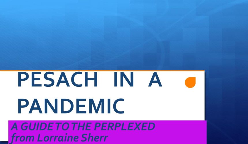 Pesach in a Pandemic Pesach in a Pandemic