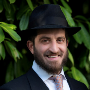 NITZAVIM – VAYELECH NITZAVIM – VAYELECH